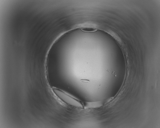 X0000073931248200608251607