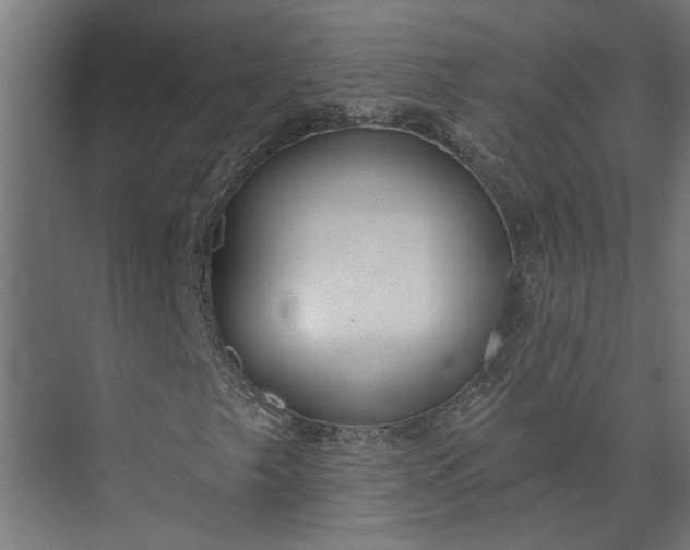 X0000073931249200608251606