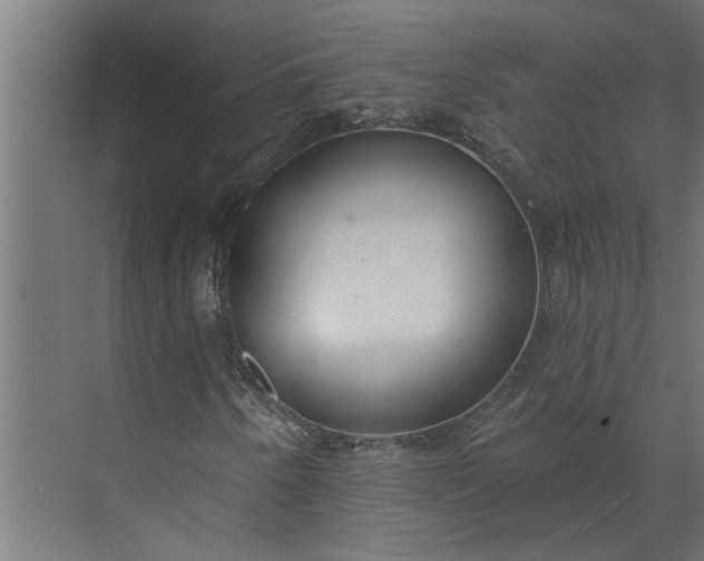 X0000073931250200608251606