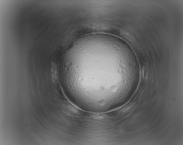 X0000073931251200608251606