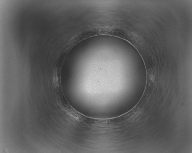 X0000073931252200608251606