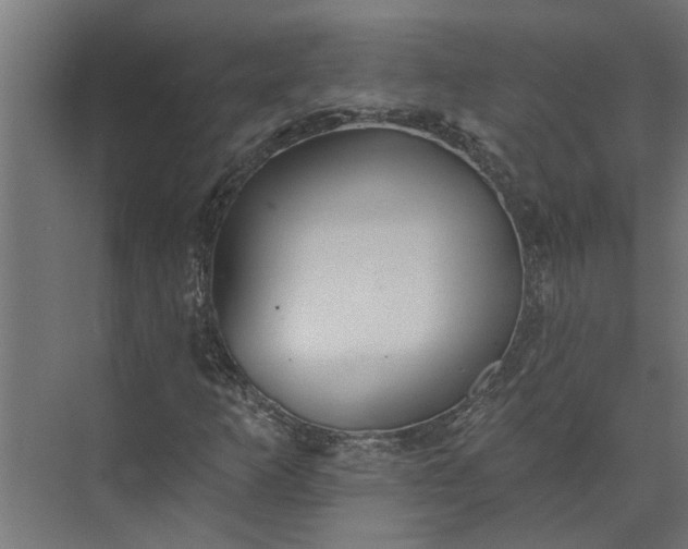 X0000073931253200608251606