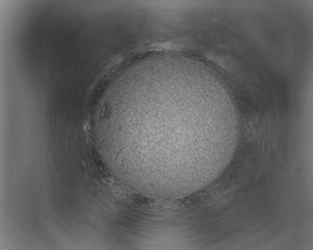 X0000073931254200608251606