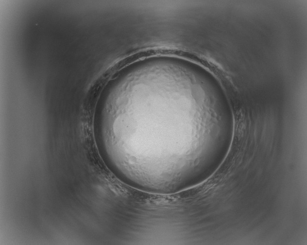 X0000073931255200608251606