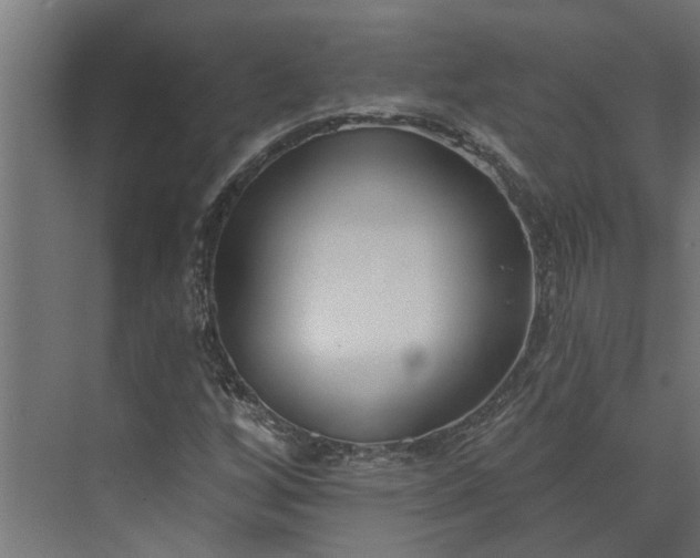 X0000073931256200608251606