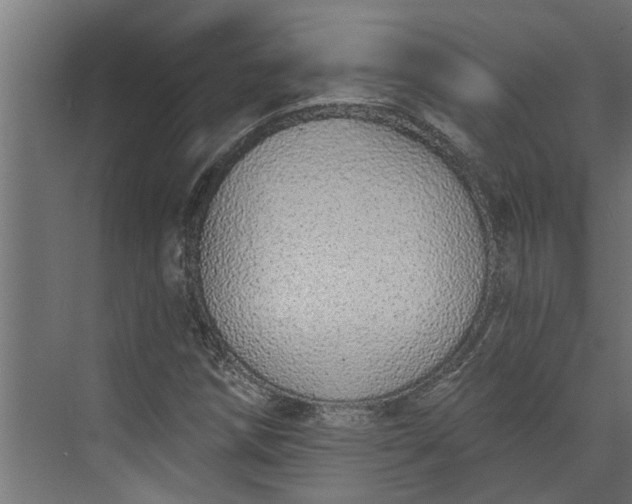 X0000073931258200608251606