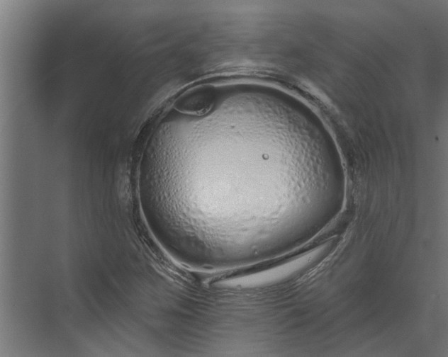 X0000073931259200608251606