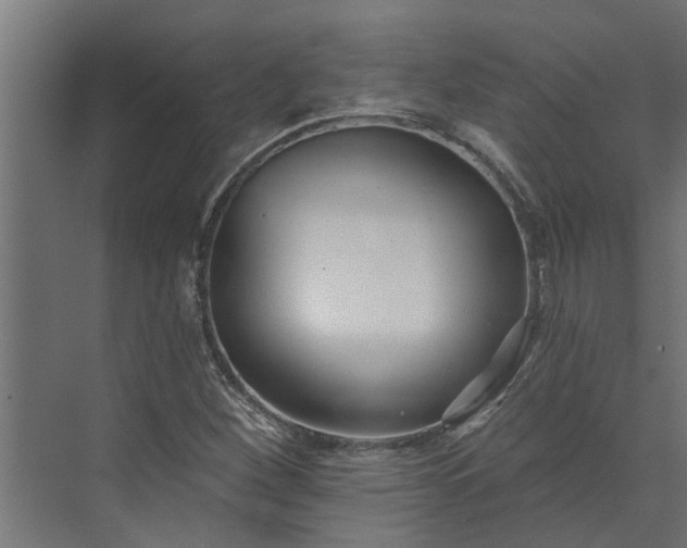 X0000073931260200608251606