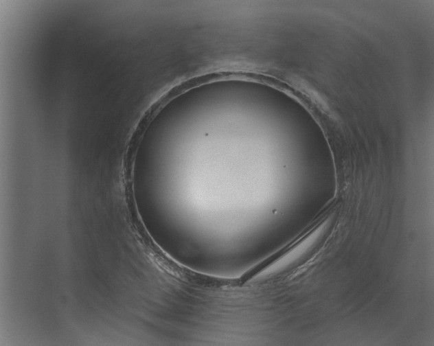 X0000073931264200608251606