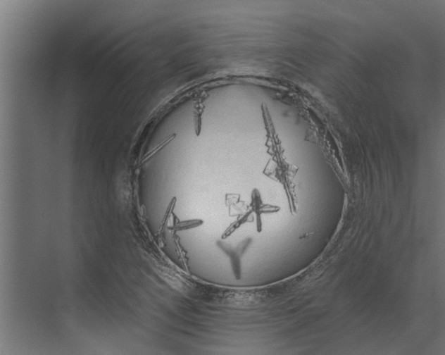 X0000073931266200608251606