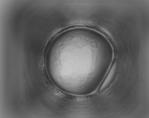 X0000073931267200608251606