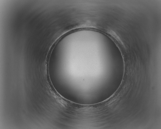 X0000073931268200608251606