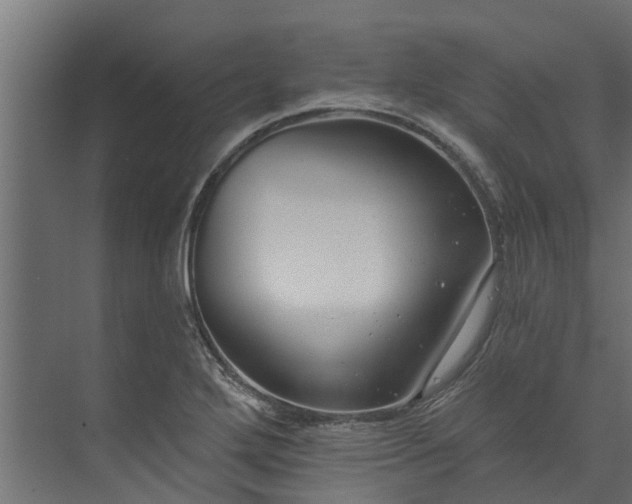 X0000073931272200608251606