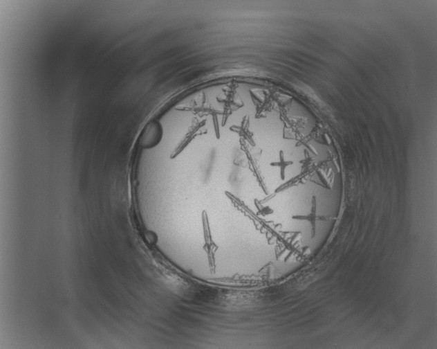 X0000073931274200608251606