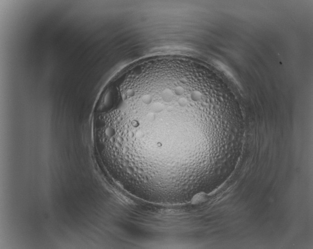 X0000073931275200608251606