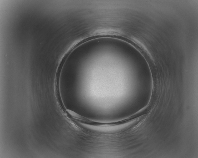 X0000073931277200608251606