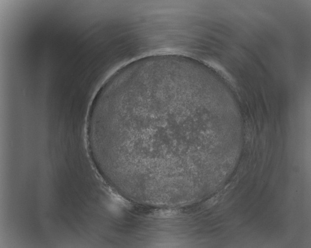 X0000073931278200608251606