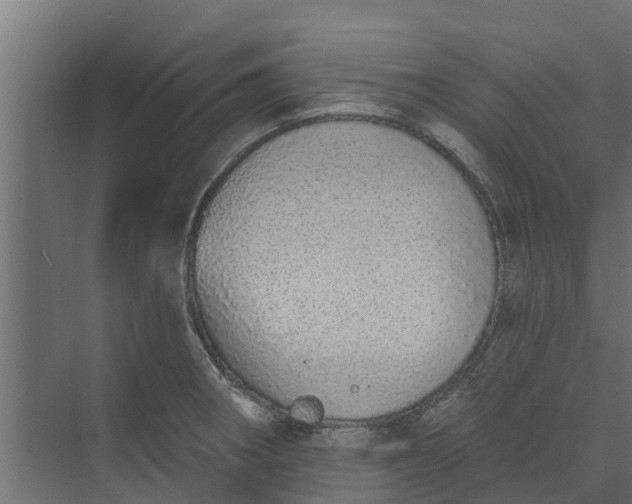 X0000073931282200608251606