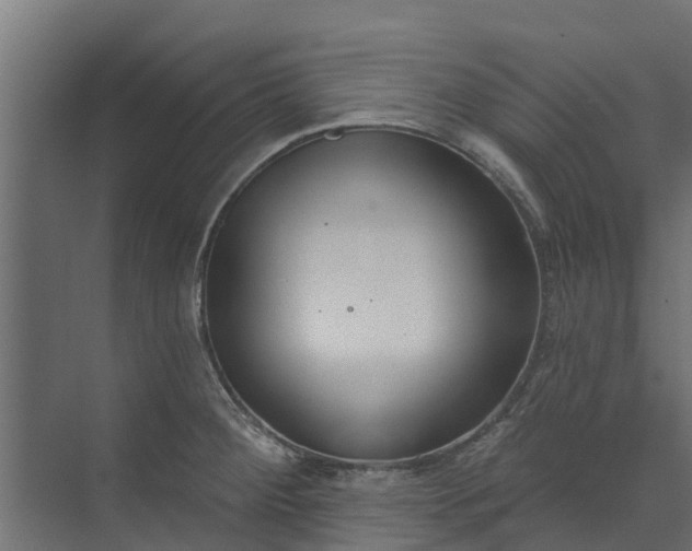 X0000073931284200608251606