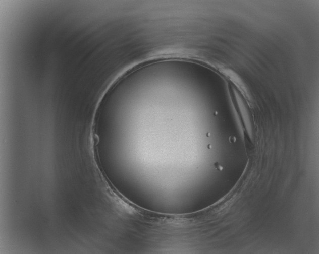 X0000073931288200608251606