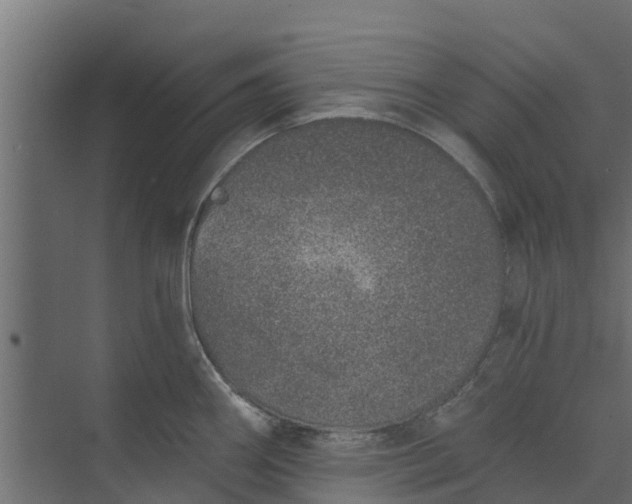 X0000073931290200608251606