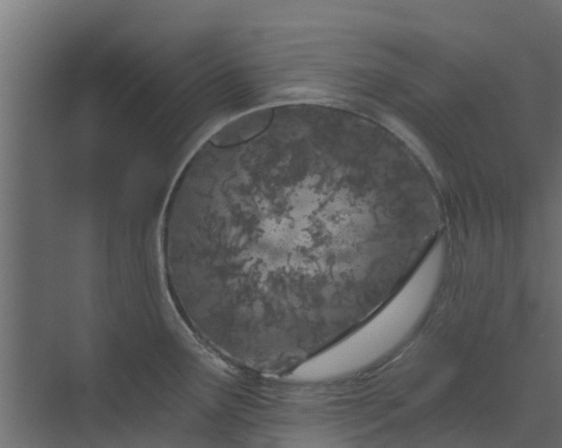 X0000073931291200608251606