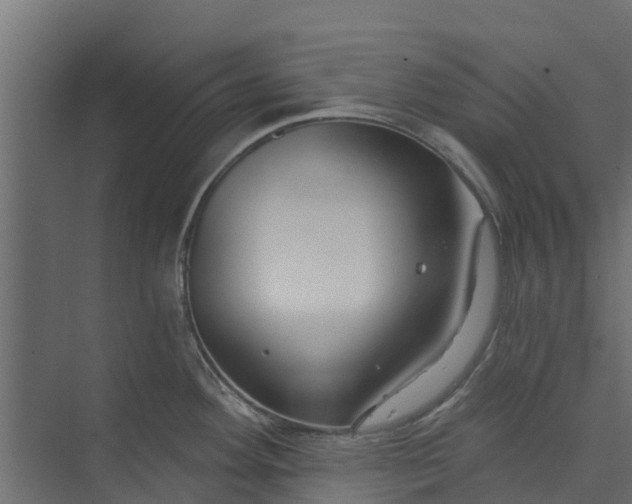 X0000073931292200608251605