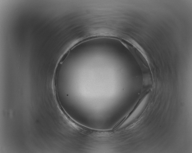 X0000073931293200608251605