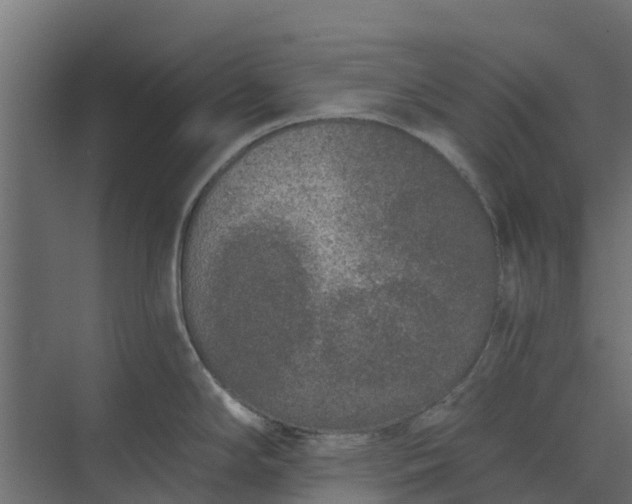 X0000073931294200608251605