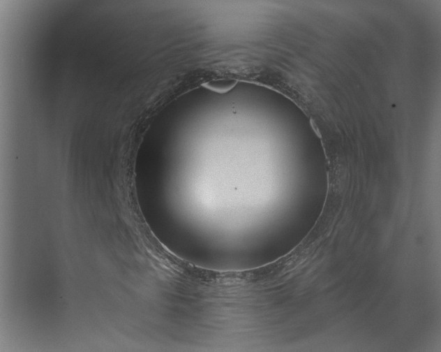 X0000073931297200608251605