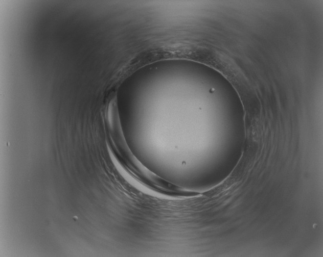 X0000073931298200608251605