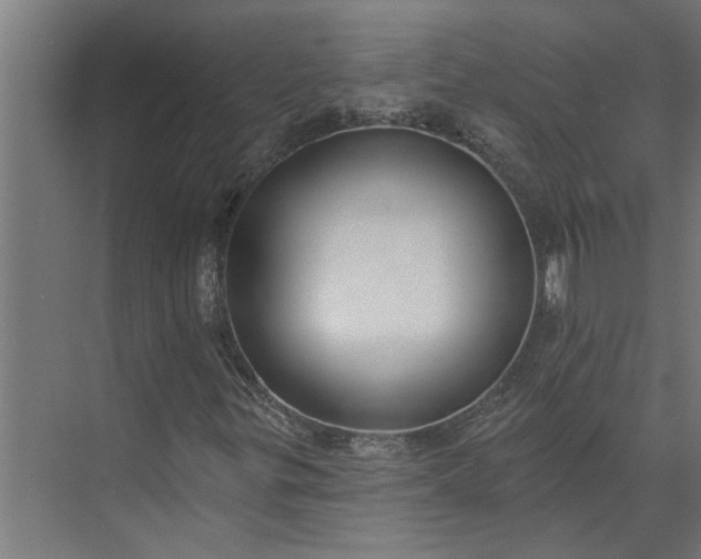 X0000073931299200608251605