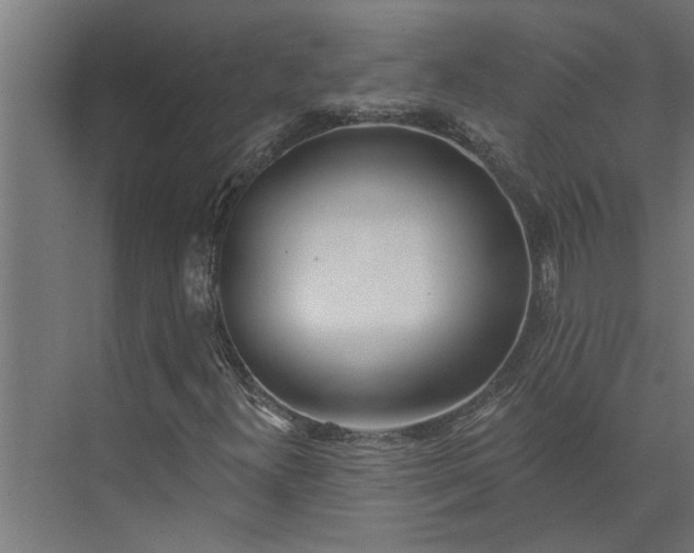 X0000073931300200608251605