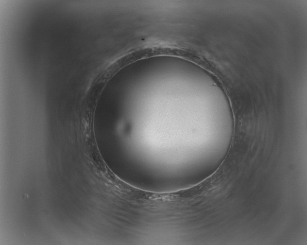 X0000073931303200608251605