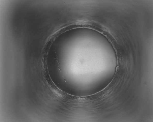 X0000073931304200608251605