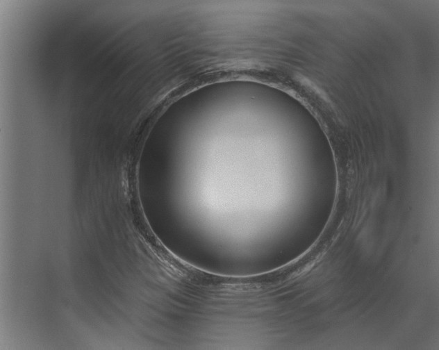 X0000073931305200608251605