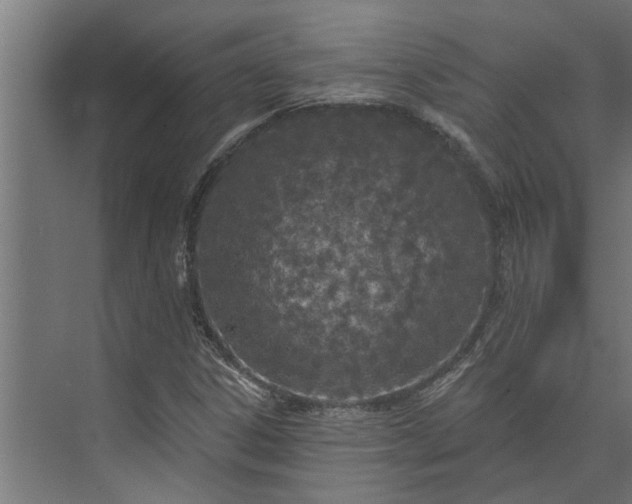 X0000073931306200608251605