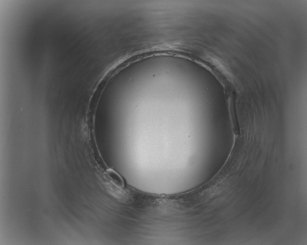 X0000073931308200608251605