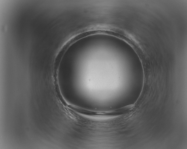 X0000073931312200608251605