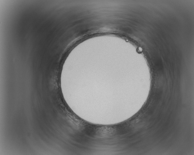 X0000073931314200608251605