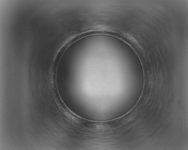 X0000073931318200608251605