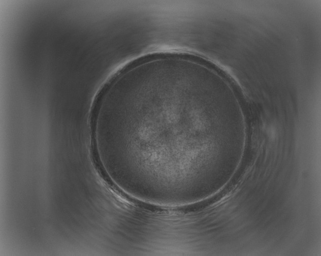 X0000073931319200608251605