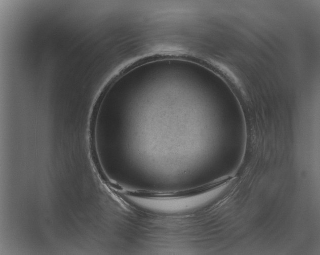 X0000073931327200608251605