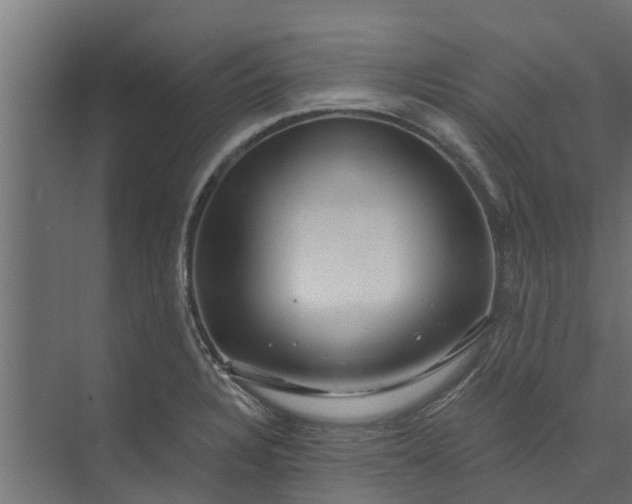 X0000073931328200608251605