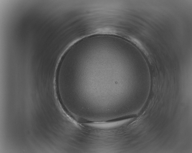 X0000073931331200608251605