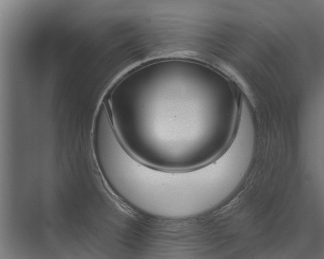 X0000073931332200608251605