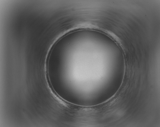 X0000073931335200608251605