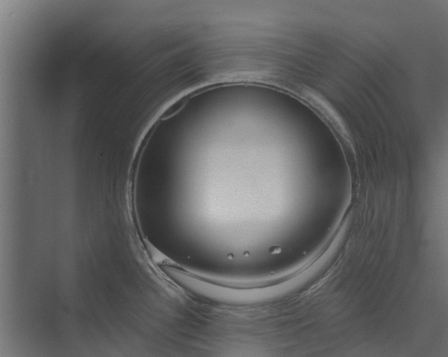 X0000073931340200608251605