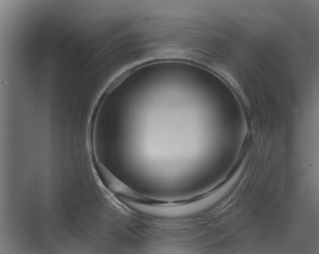 X0000073931342200608251605