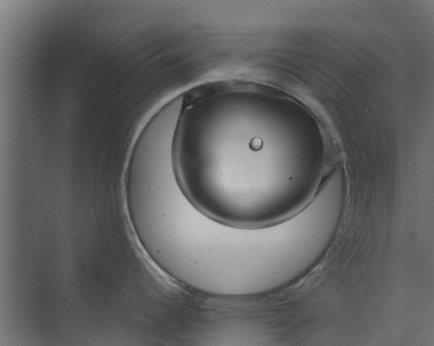 X0000073931344200608251605